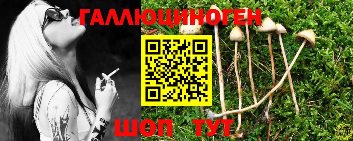 Галлюциногенные грибы мухоморы Вышний Волочёк