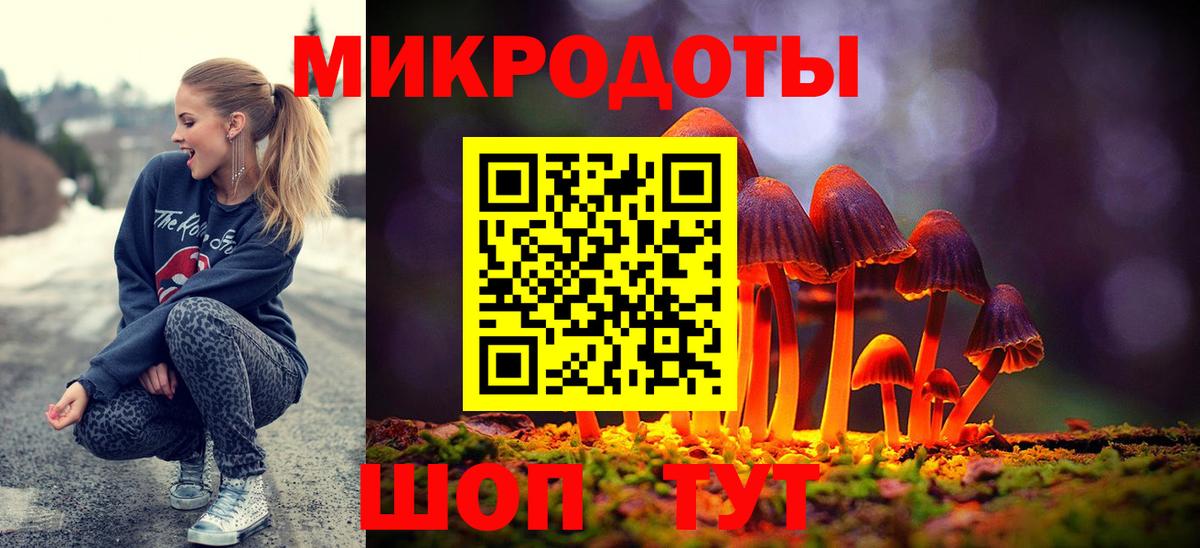 Галлюциногенные грибы Вышний Волочёк