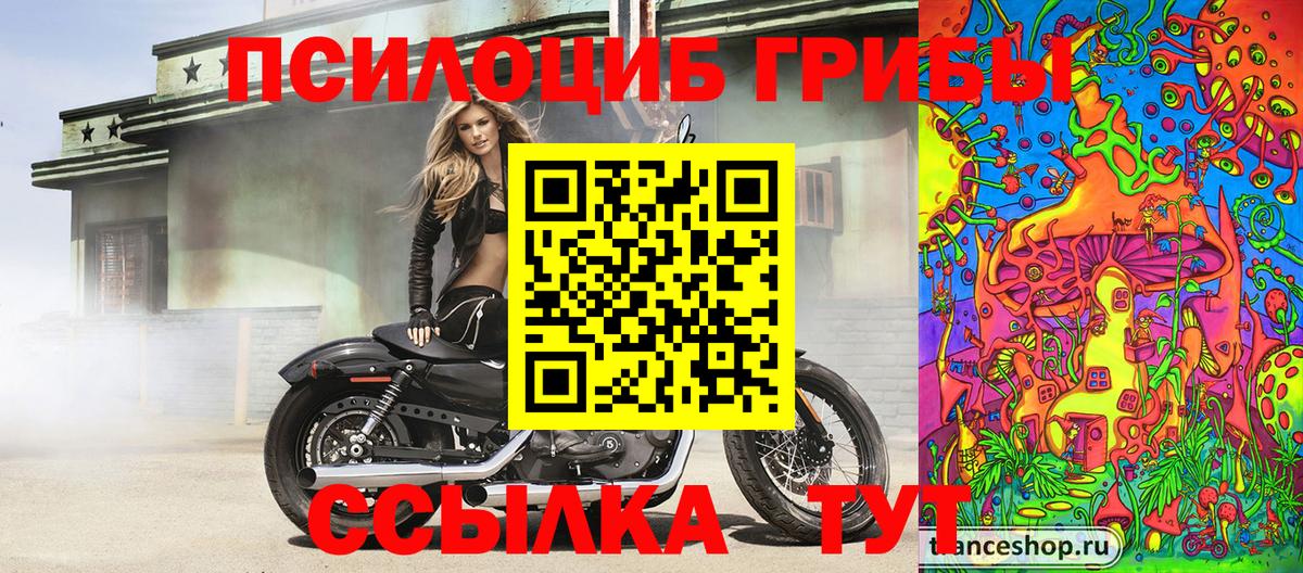 Галлюциногенные грибы Cubensis Вышний Волочёк