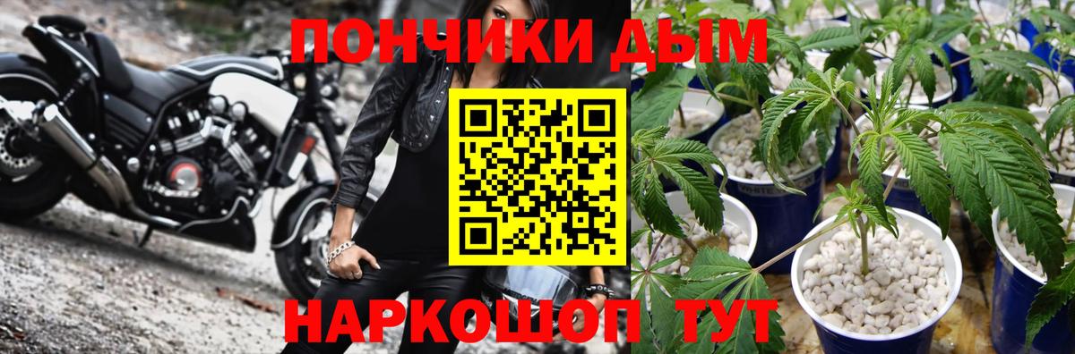 Конопля Amnesia  Канабис AK-47  Канабис White Widow  Вышний Волочёк  Бошки марихуана AK-47 